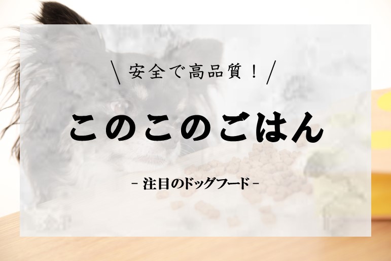 体重や運動量で異なる！「このこのごはん」の推奨給餌量とは？