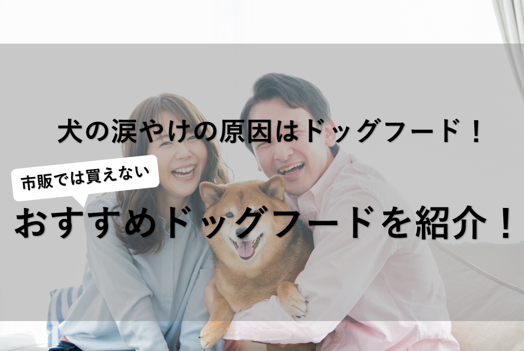 犬の涙やけの原因はドッグフード！市販では買えないおすすめドッグフードを紹介！