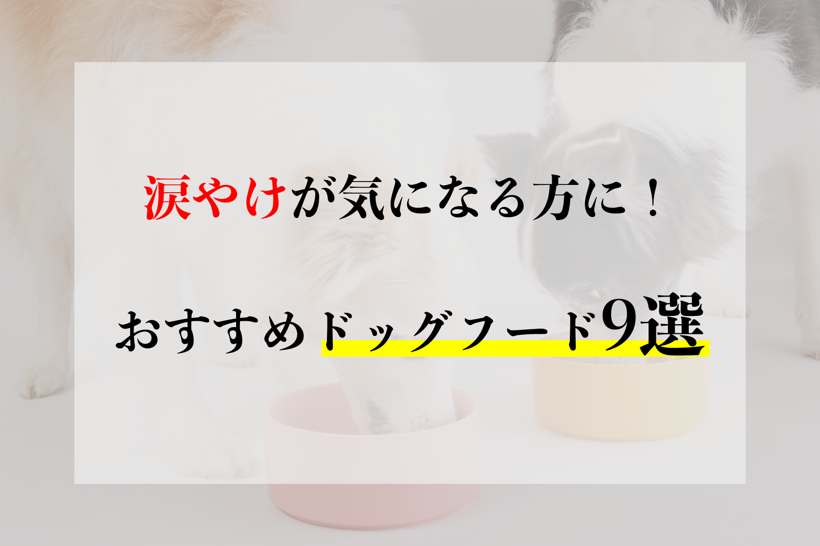 【人気の涙やけ対策ドッグフード】無料診断でぴったりのドッグフードが見つかる！