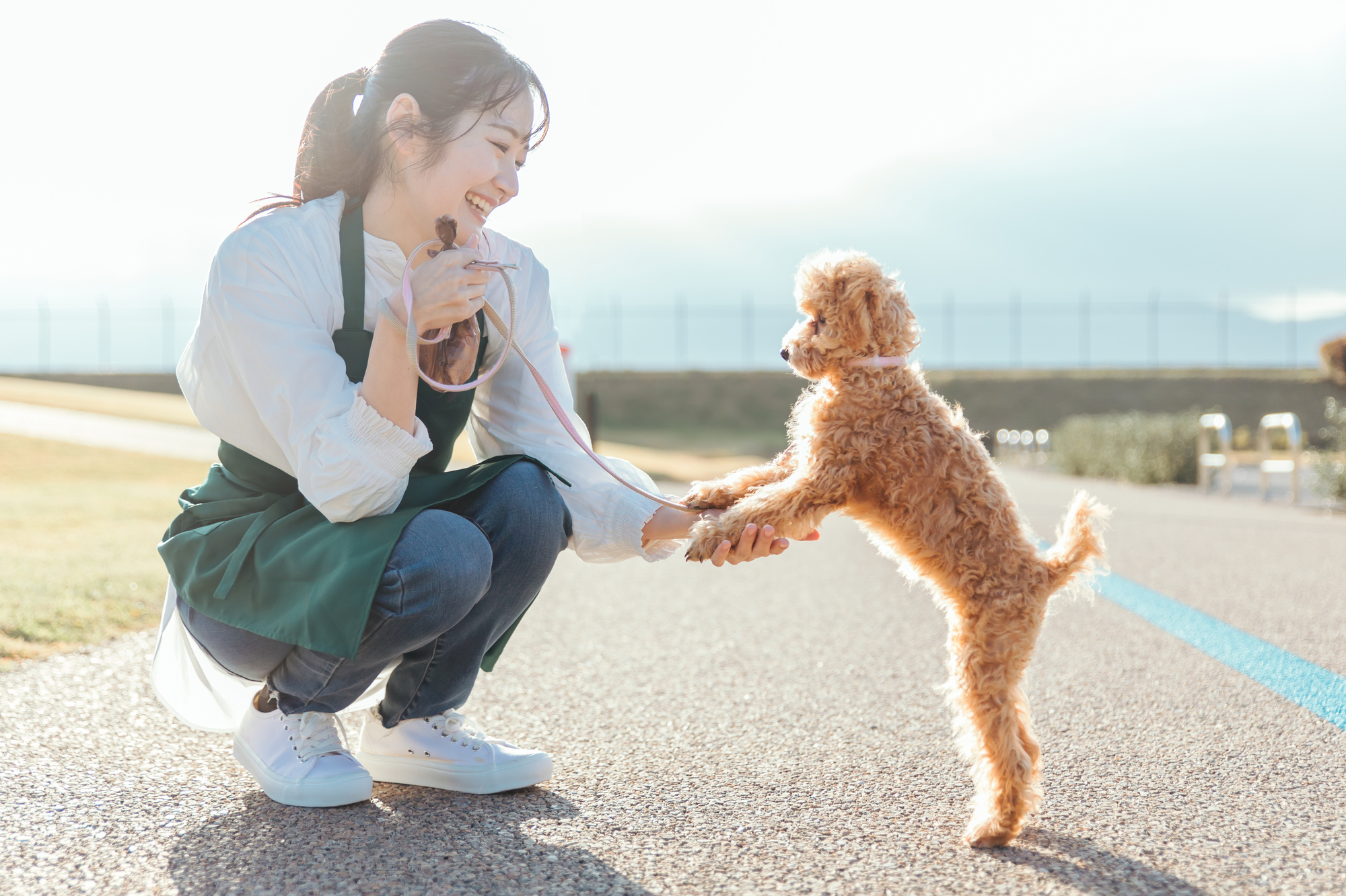 愛犬の末永い幸せのためにシニア犬の食事には十分に配慮しましょう