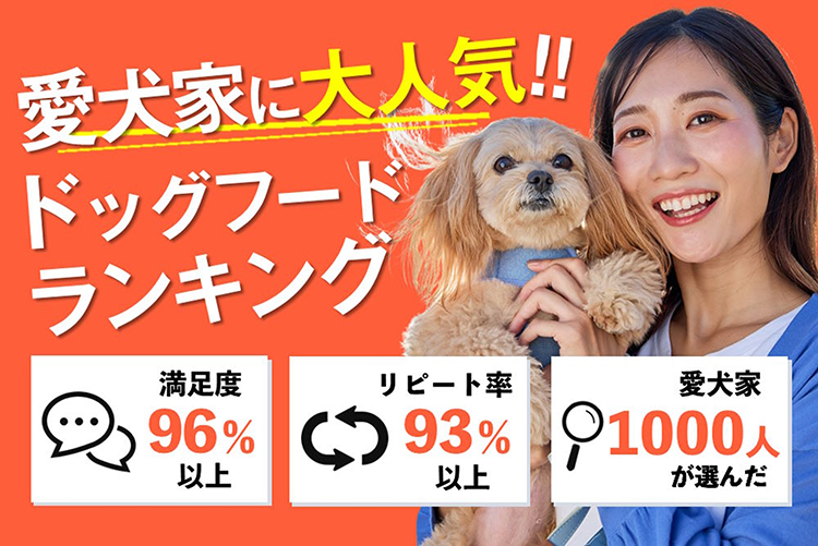 愛犬家に大人気！ドッグフードランキング